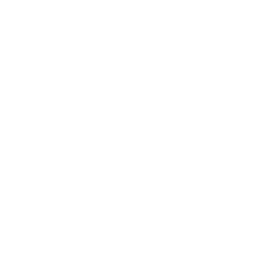 Minnesota seal